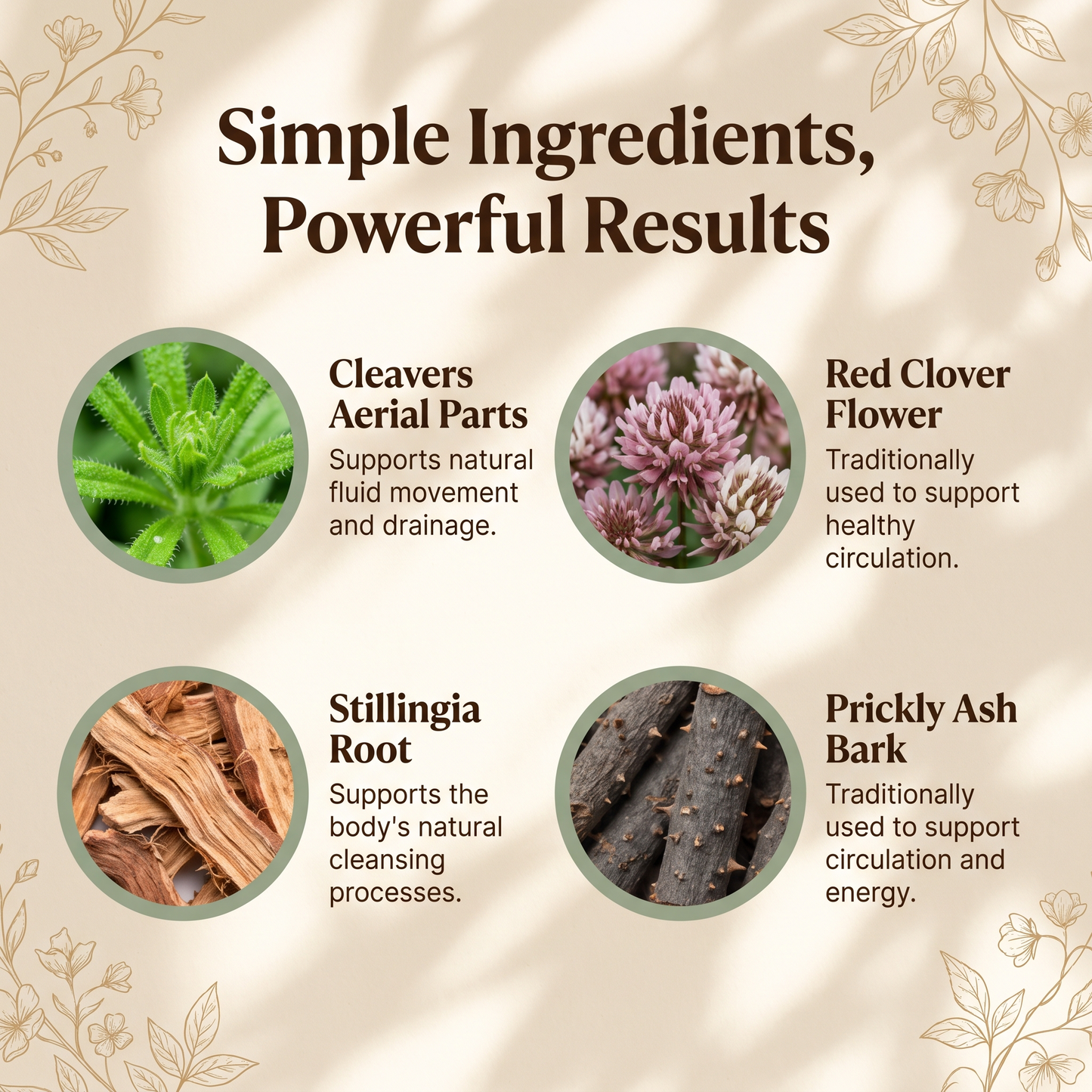 Lymphatic Wellness Drops